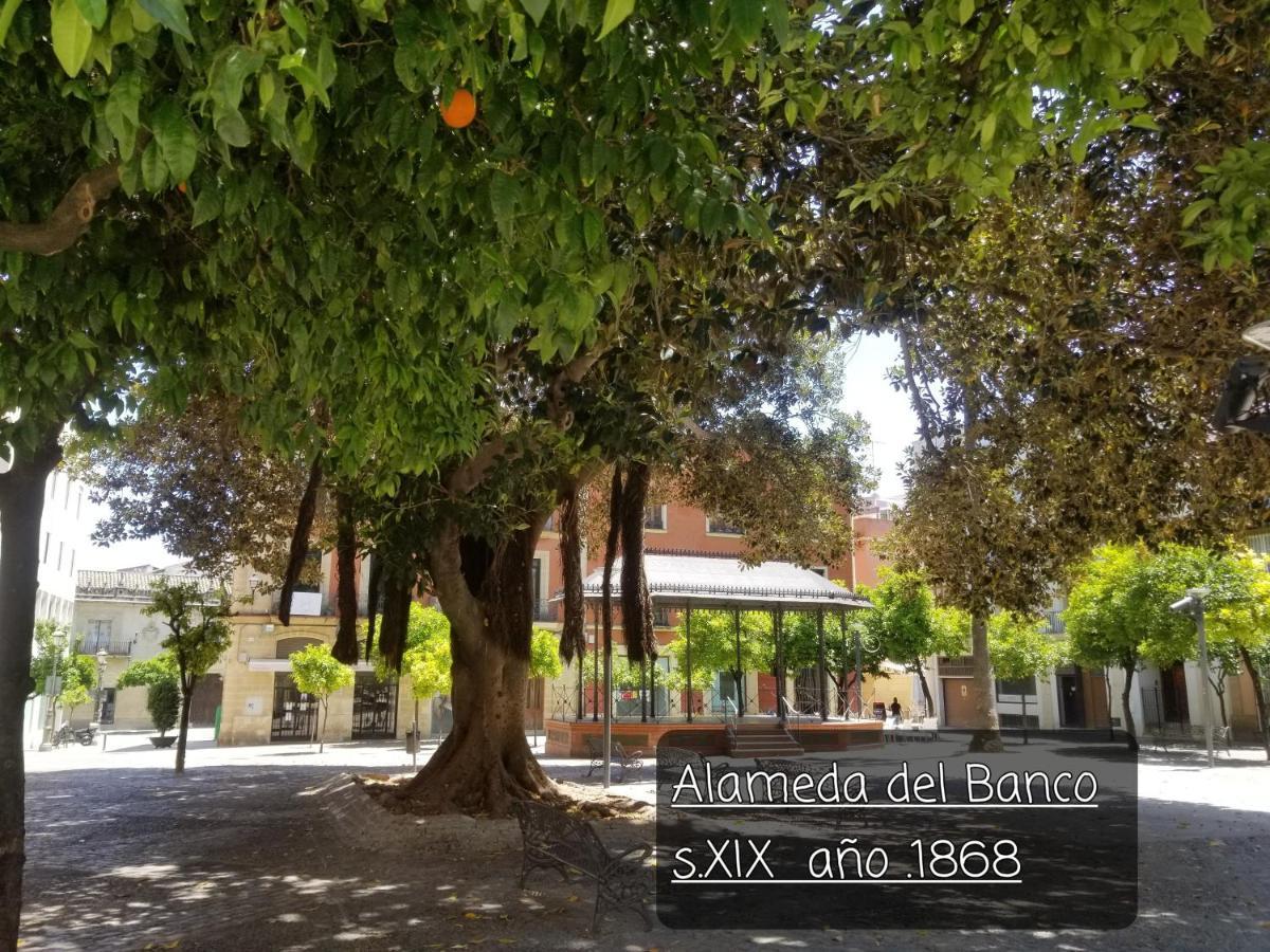 Апартаменти Jerez Centro Historico Херес-де-ла-Фронтера Екстер'єр фото